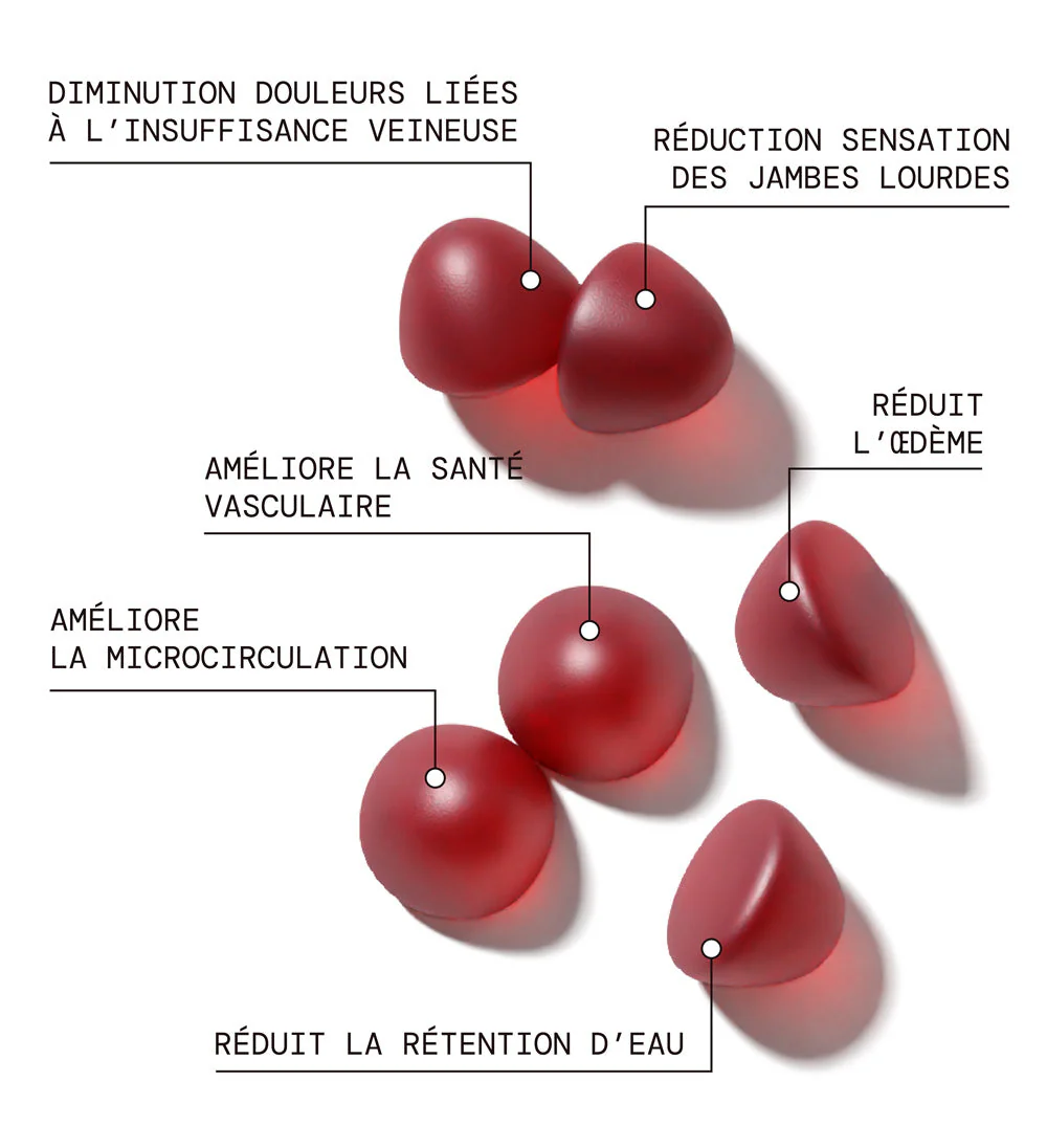 Pack Gummies CIRCULATION SANS SUCRES | Super pack | 4 x 21 jours - Image 2