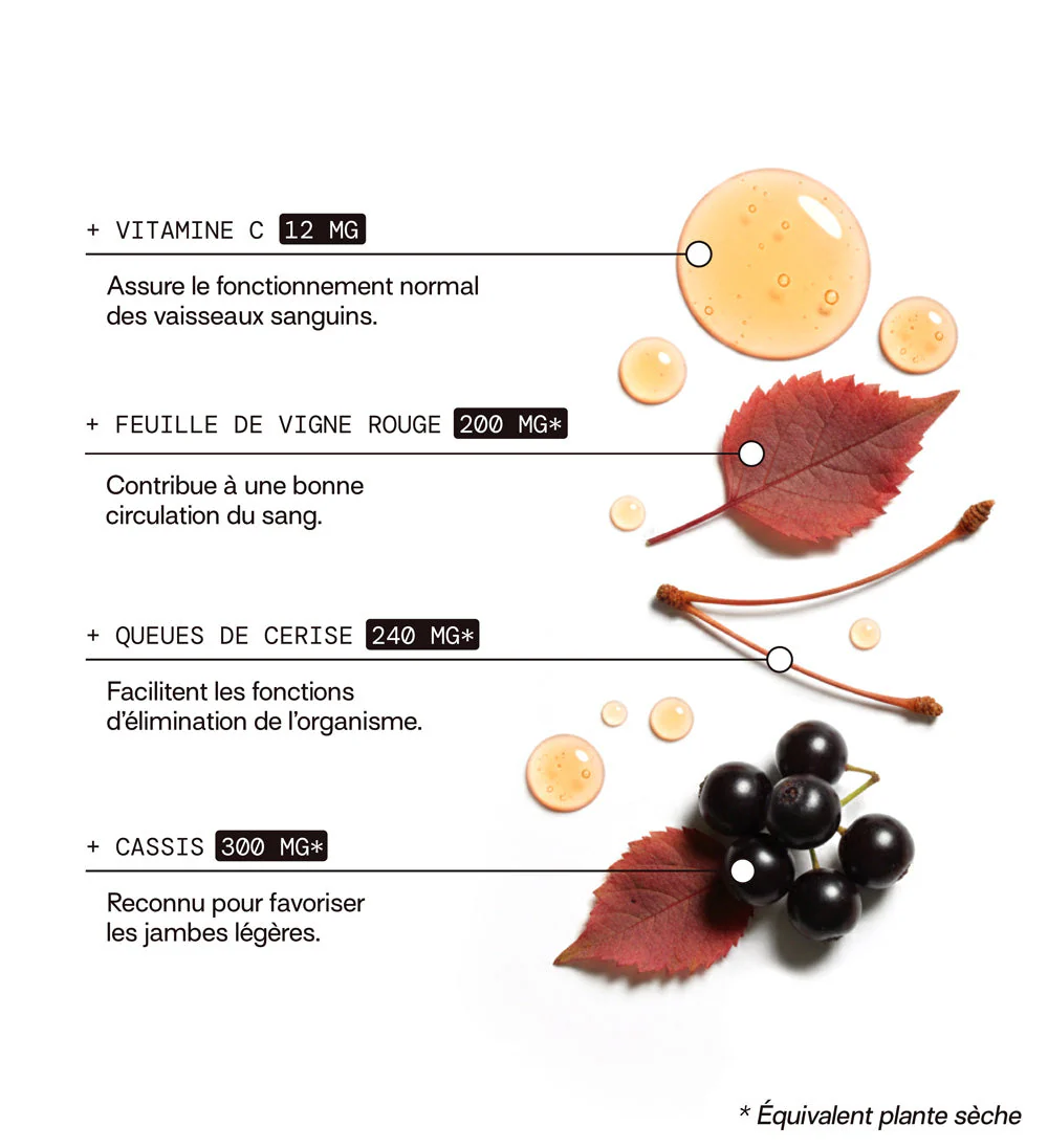 Pack Gummies CIRCULATION SANS SUCRES | Super pack | 4 x 21 jours - Image 3