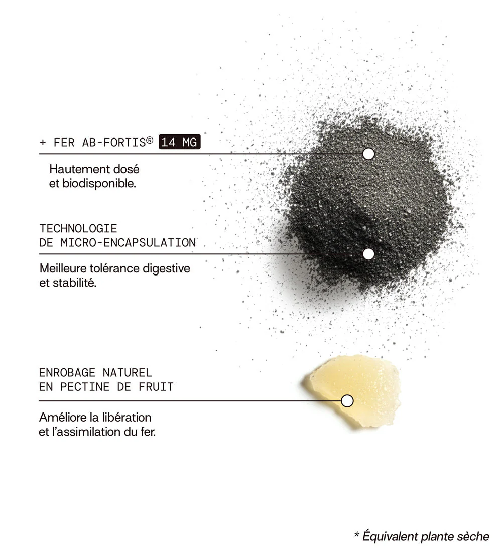 Gummies FER SANS SUCRES | Réduit les carences | 21 jours - Image 3