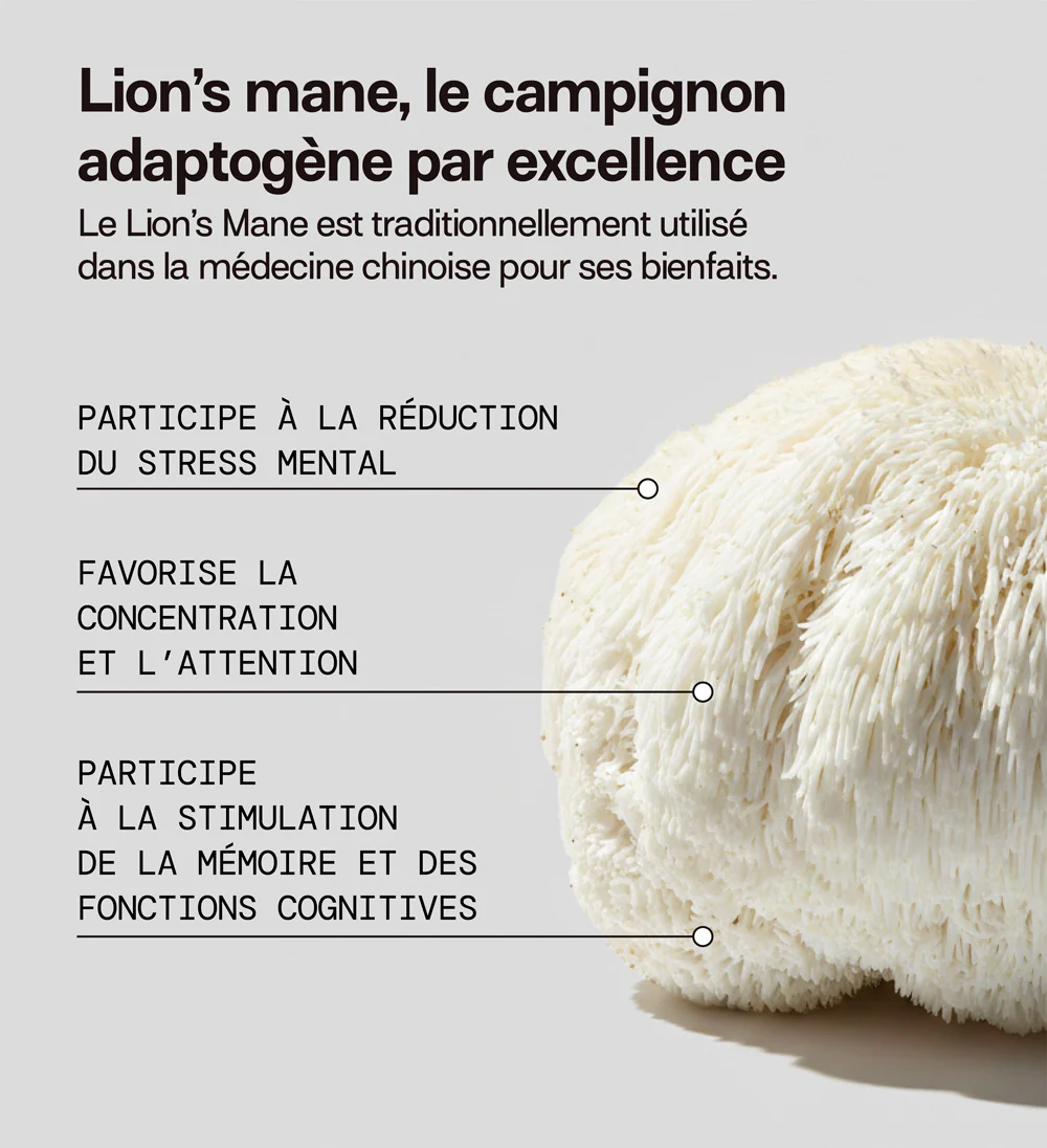 Pack 4 pots Gummies LION'S MANE | Soutient la mémoire et la concentration | 3 mois - Image 7
