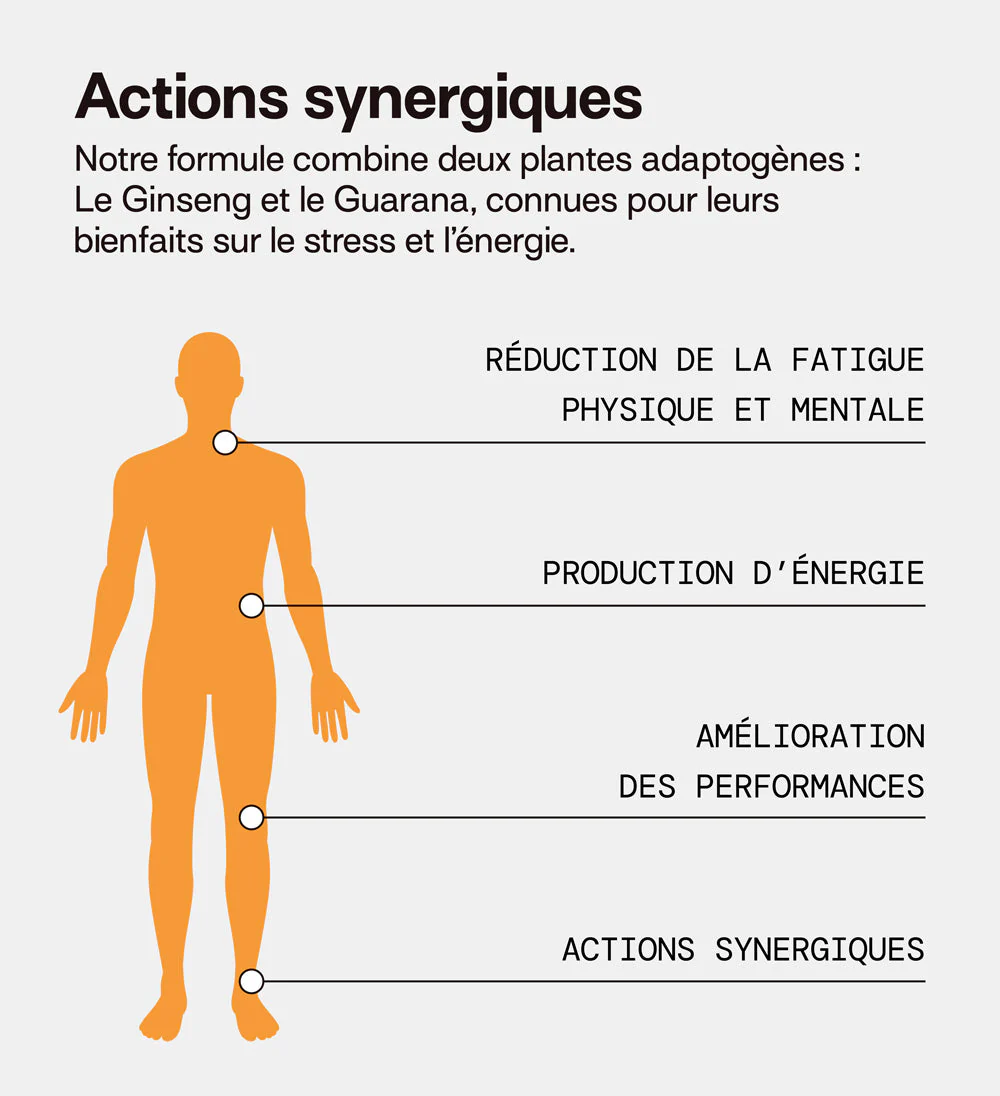 Pack 4 éco-recharges ÉNERGIE | Boost physique et mental | 4 x 21 jours - Image 8