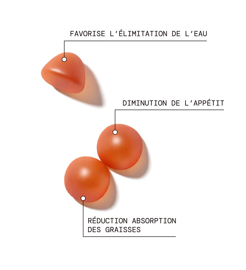 Pack Gummies Minceur SANS SUCRES | Régule la satiété | 4 x 21 jours - Image 2
