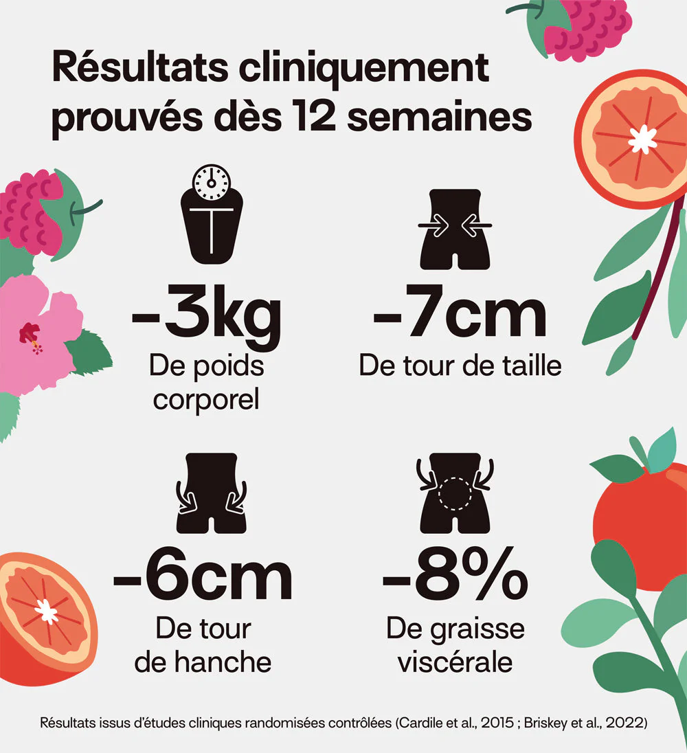 Pack Gummies ULTRA SLIM MOROSIL | Brûle-graisse et régulation du poids | 3 mois - Image 7