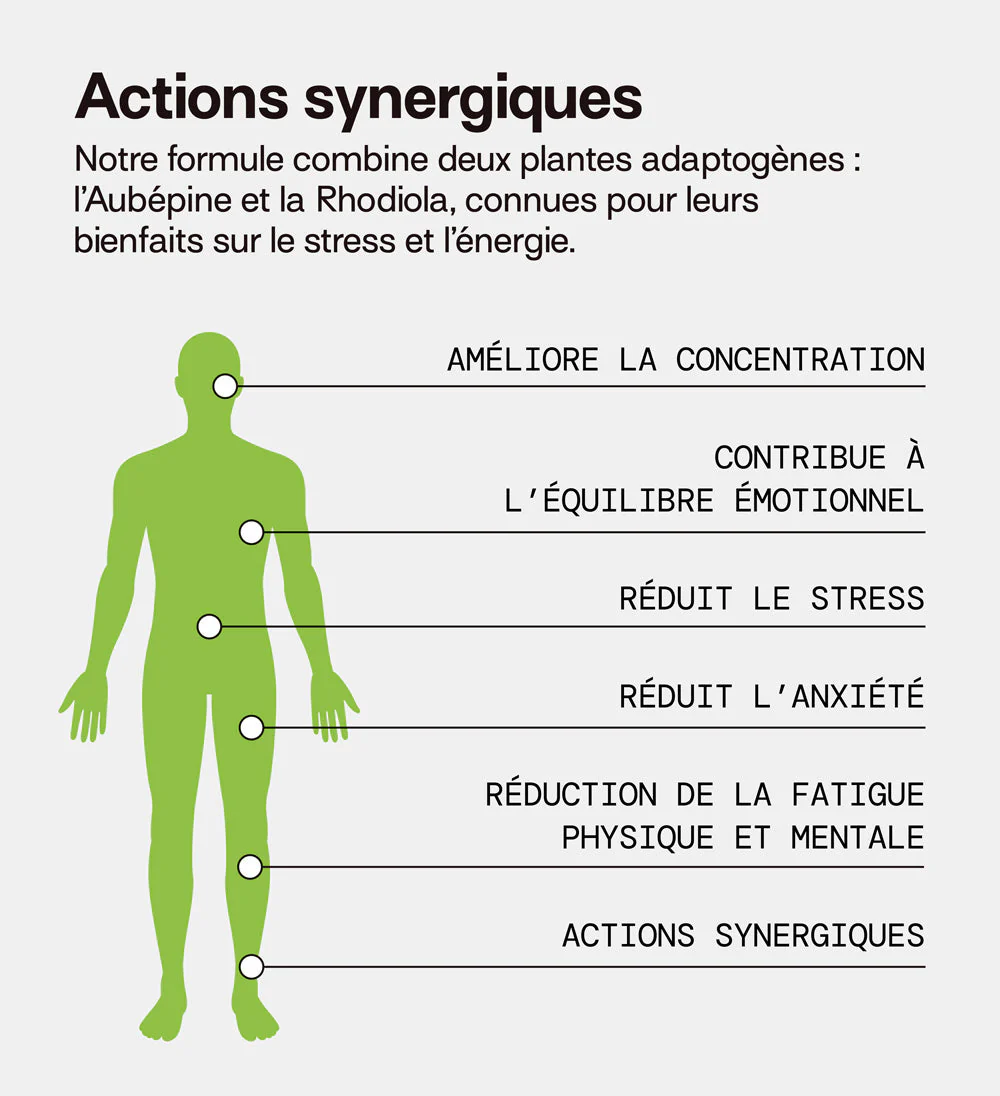 Programme n°6 : Anti-stress & Bien-être | Safran B6, Sommeil, Magnésium et Stress | 4 x 21 jours - Image 10