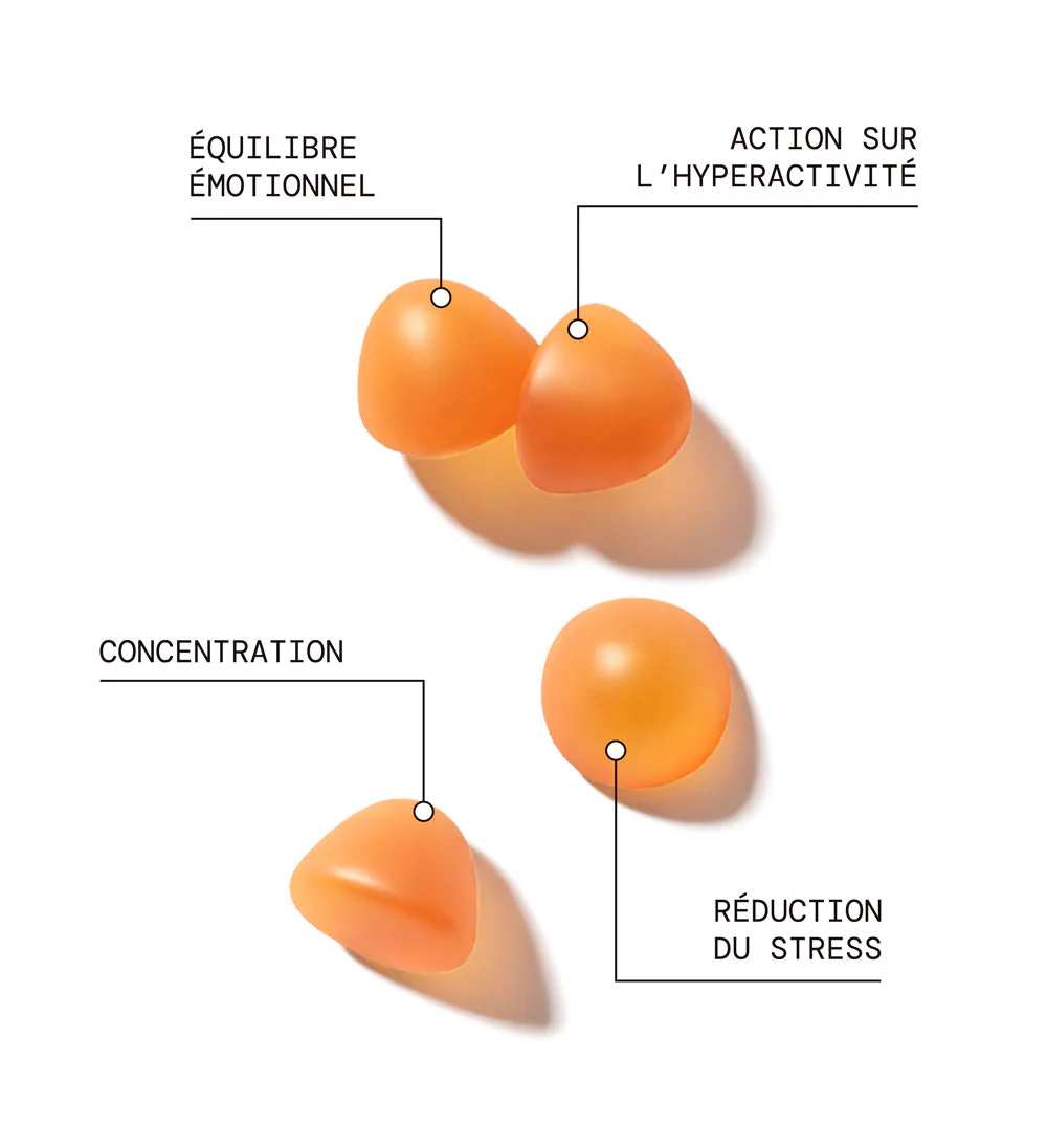Programme n°6 : Anti-stress & Bien-être | Safran B6, Sommeil, Magnésium et Stress | 4 x 21 jours - Image 4