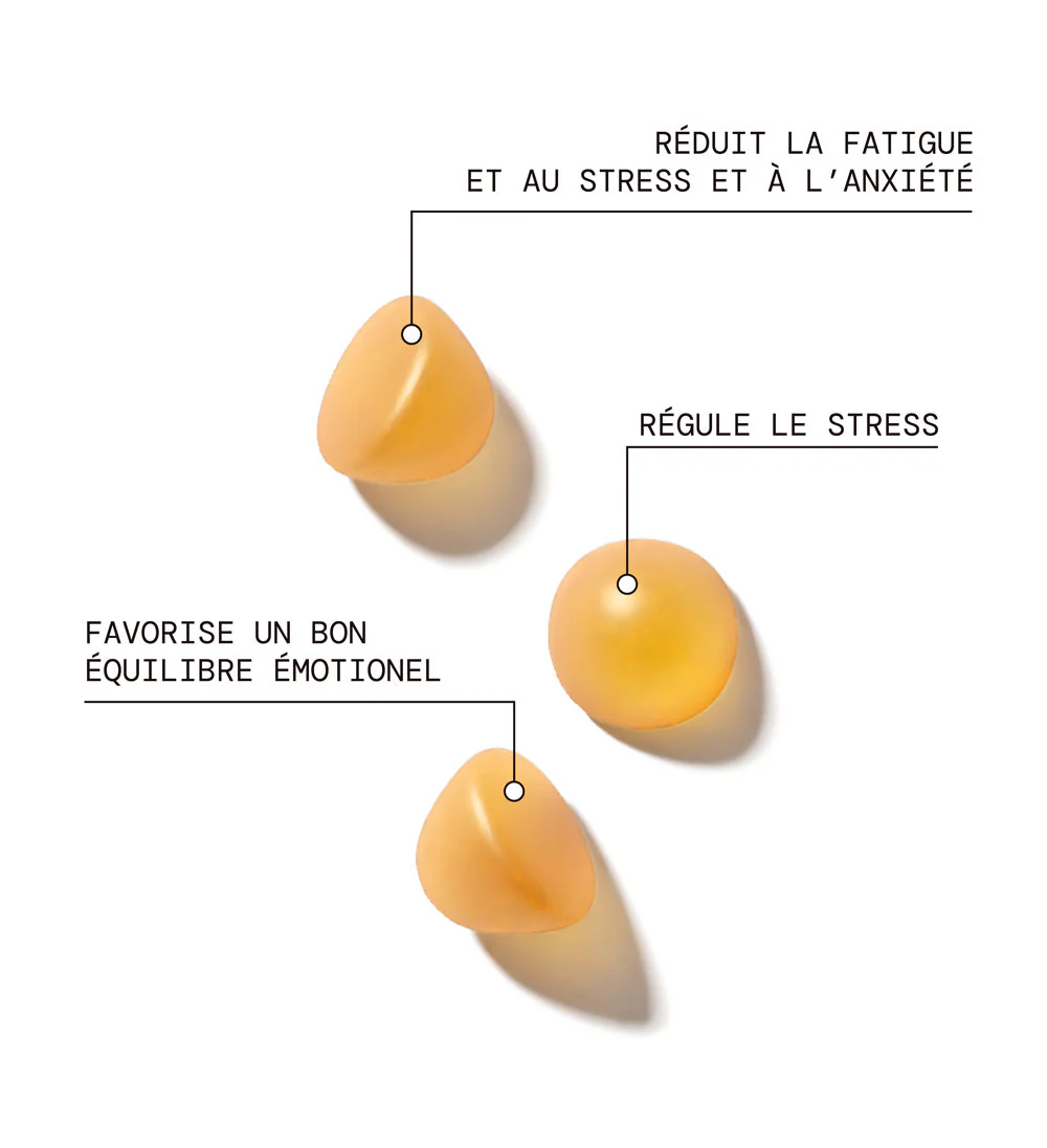 Programme n°6 : Anti-stress & Bien-être | Safran B6, Sommeil, Magnésium et Stress | 4 x 21 jours - Image 9